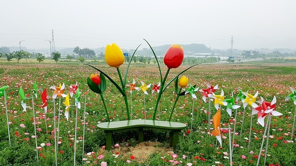 양귀비 꽃과 바람개비(사진제공=충북도)