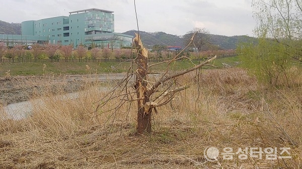 충북혁신도시 국가기술표준원 인근 수변공원 내 저류지 현재 모습. (제공=음성타임즈)