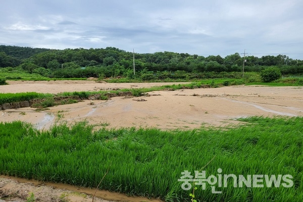 지난 8월 폭우시 해당 농경지 수해피해 현장 모습. (제공=음성타임즈)