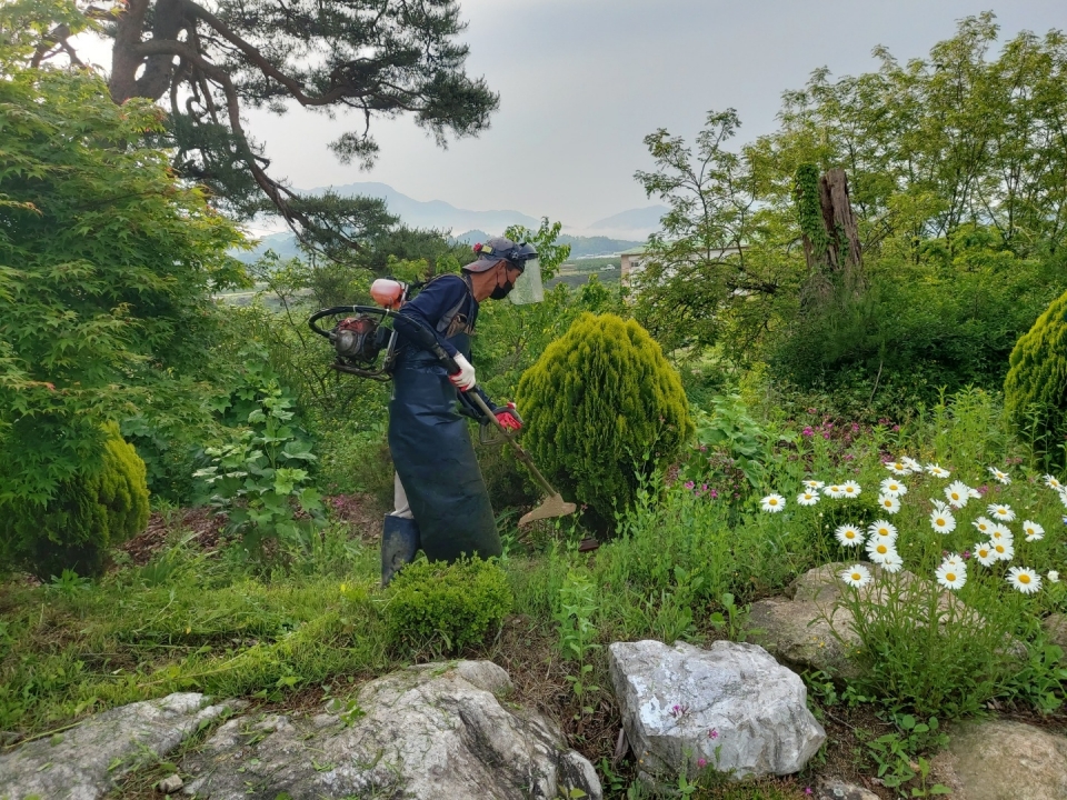 제천교육지원청 제공.