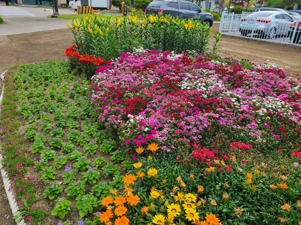 설치된 꽃 화분 모습 / 청주시