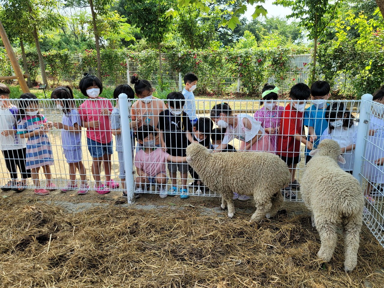 진천교육지원청 제공.