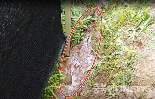 기름띠로 뒤덮힌 오염수가 농지 배수로를 따라 하류로 흘러가고 있다. (제공=음성타임즈)