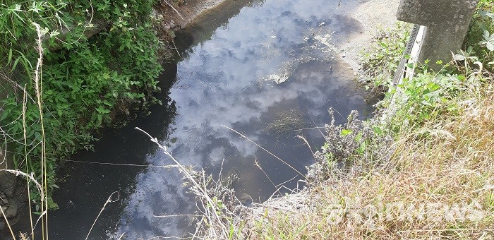 충북 음성군 생극면 신양리 응천 일대 농수로를 따라 흐르고 있는 카본블랙.(사진제공=음성타임즈)