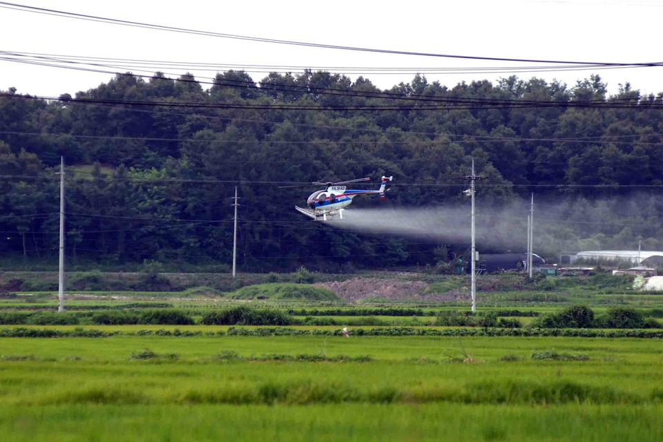 22일 진천군 농업기술센터(소장 서정배)는 오는 8월 16일까지 고품질 쌀 생산을 위한 이삭거름 적기‧정량 시용과 병해충 방제 중점지도를 실시한다고 밝혔다.