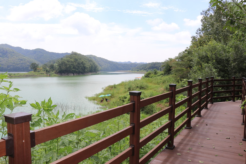 부소담악 전망데크 모습 / 옥천군