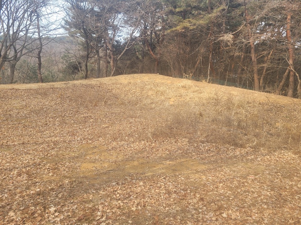 철거된 안유풍의 묘지 전경(2022년 2월 26일 촬영)