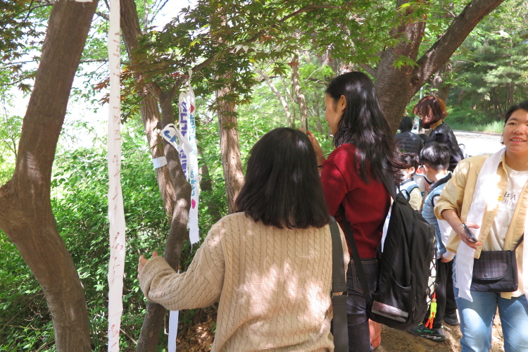 22일 충북시민사회단체연대회의는 데크 길 조성으로 이슈가 되고 있는 우암산 삼일공원에서 “하늘 다람쥐의 보금자리, 우암산을 지켜주세요” 시민문화제를 진행했다. (사진 : 충북시민사회단체연대회의 제공)