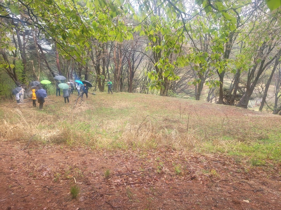 청주시 상당산성내에 있었던 안유풍의 묘자리. 지난 15일 청주시민대학 소속 수강생들이 파묘된 안유풍의 묘자리를 둘러보고 있다. (사진=김남균 기자)