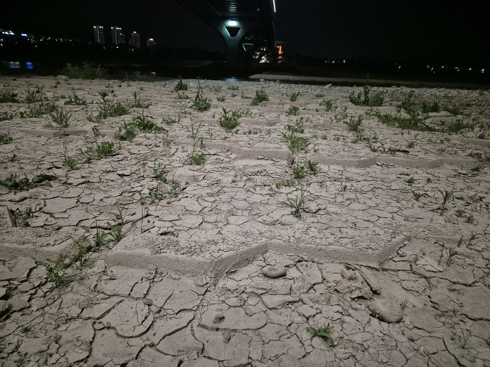 세종보 상류 금강 전경. 2018년 이후 세종보 수문을 개방했지만 현재까지 뻘이 남아있다. (사진=김남균 기자)