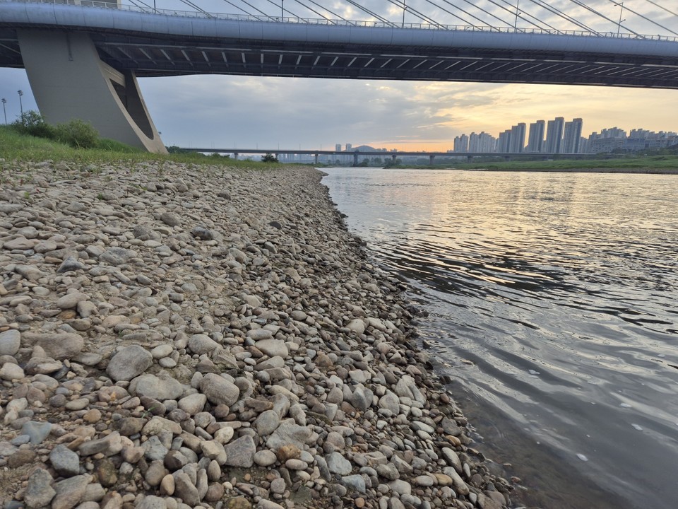 세종보 상류 전경 (사진=김남균 기자)