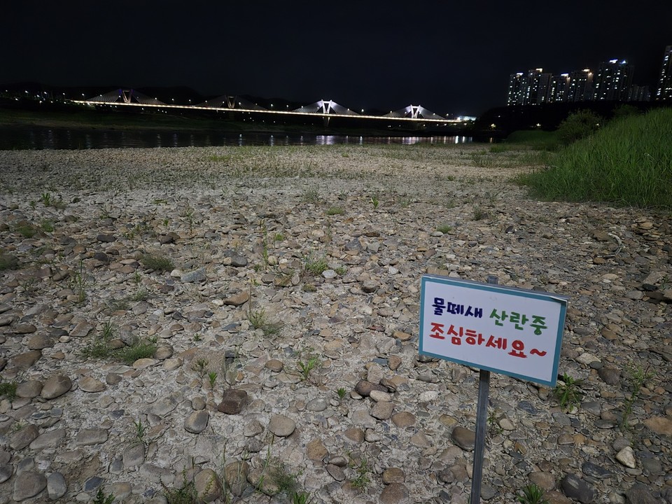 "물떼새 산란중 조심하세요~" 세종시 세종보 상류 전경 (사진=김남균 기자)