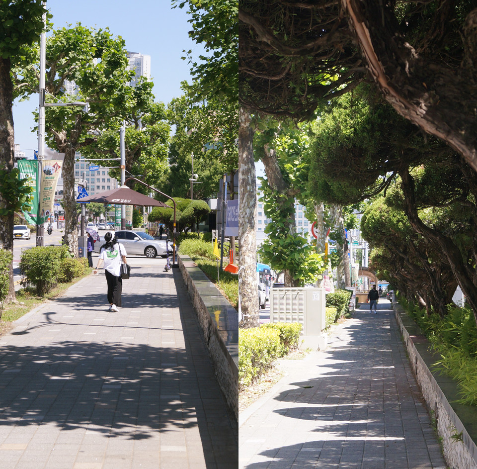도청 서문~도청버스 정류장 방면 인도(좌측)와 서문~농협 방면 인도 모습. 