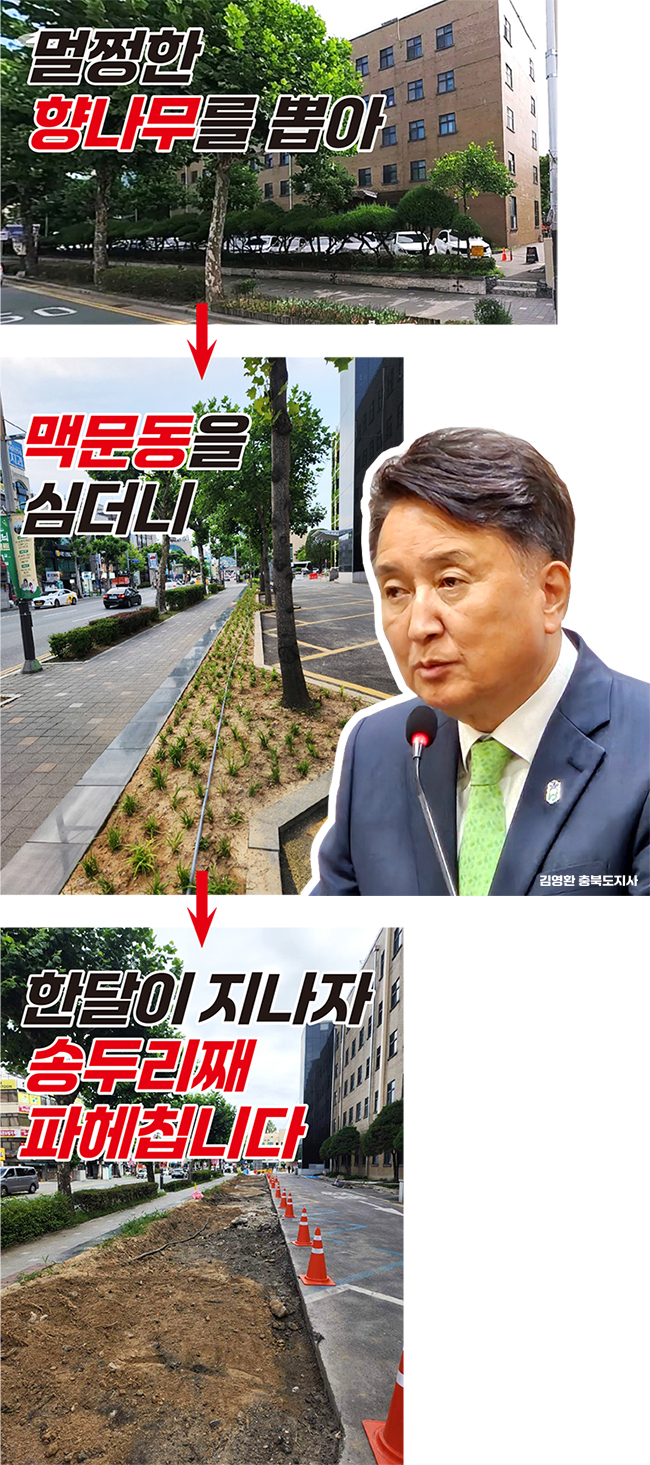 (그래픽=서지혜 기자)