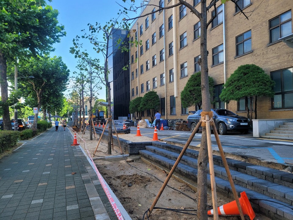 충북도가 보행로를 확장하고 장애인도 이동할수 있는 무장애 도로를 만든다며 향나무를 철거하고 새로 조성한 공사 현장 모습(사진=청주충북환경운동연합 제공)
