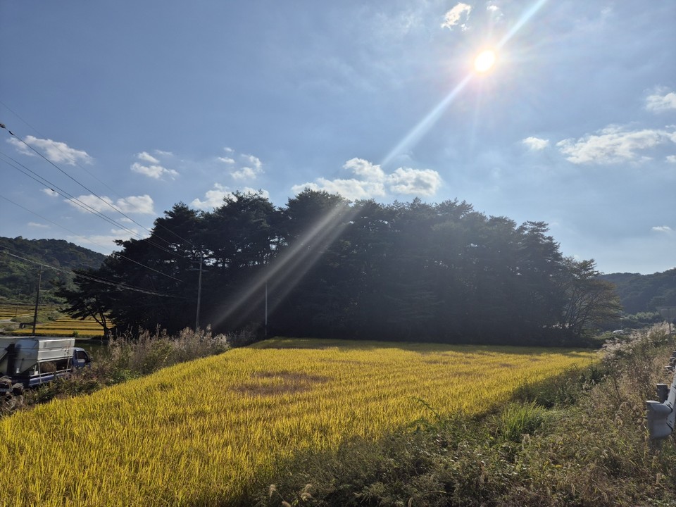 친일반민족행위자 최연국 묘가 있는 사천시 곤명면 은사리 438번지 전경 (사진=김남균 기자)