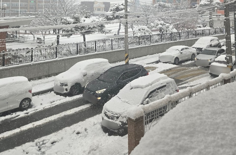 28일 적설량 18.2cm를 기록한 제천시, 거리에 눈이 쌓여 있다. (사진=독자제공)