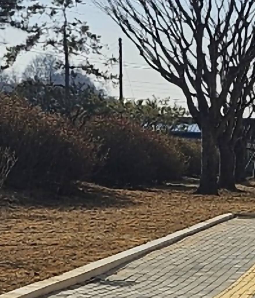 신홍식 선생의 동상이 있던 자리. 충북교육청은 지난 해 신홍식 선생 동상이 단재정신과 부합하지 않는다며 철거를 한 것으로 알려졌다. (사진제공=박진희 도의원)