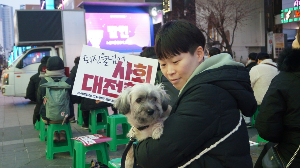 강아지를 품에 안고 공연을 관람하는 시민도 있었다. 
