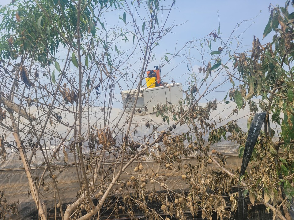 2023년 7월 15일 발생한 청주 미호강교 제방붕괴로 인해 침수된 오송읍 일대 비닐하우스 모습. 비닐하우스 위로 냉장고가 올라가 있다. (사진=김남균 기자)