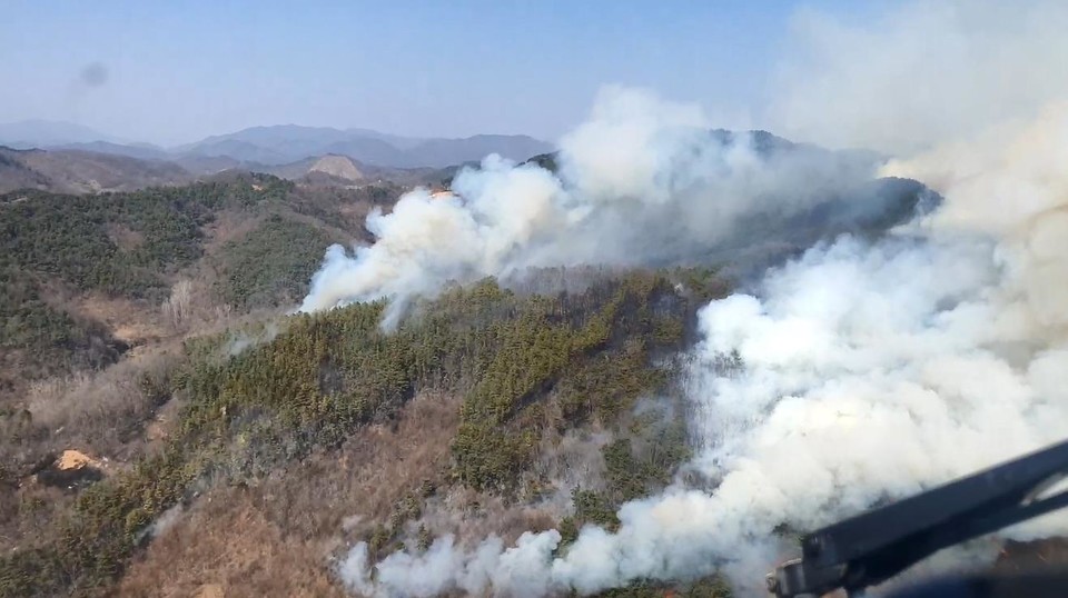 지난달 23일 일어난 옥천 산불 현장.