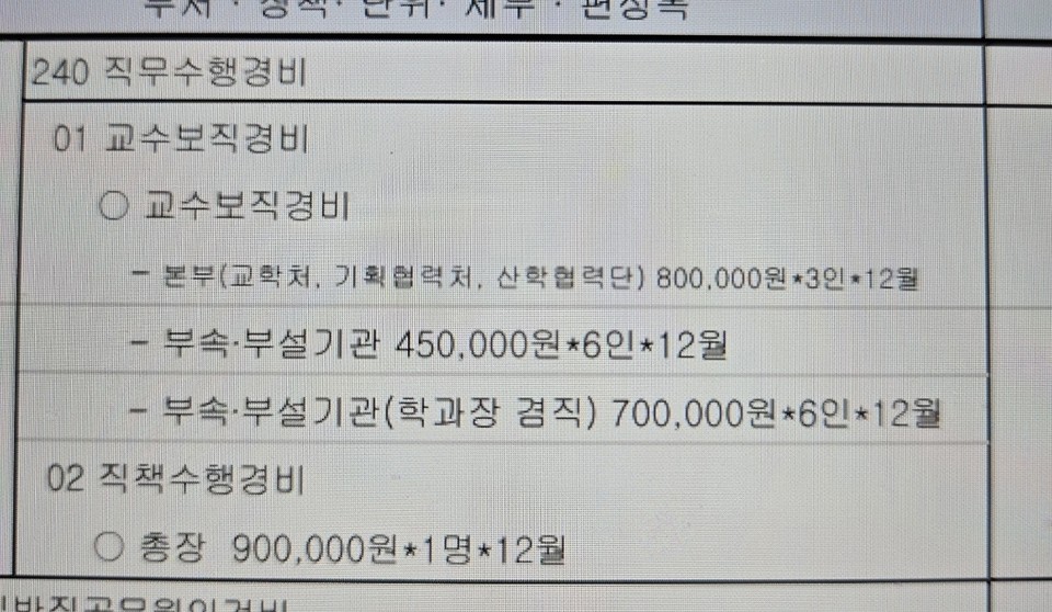 충북도립대학교 교수 보직 경비