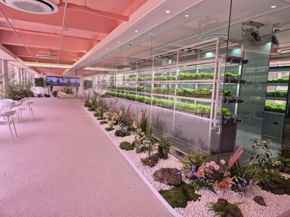 10억원 가까운 비용이 을어간 충북도립대 스마트팜 실습실 모습(사진=김남균 기자)