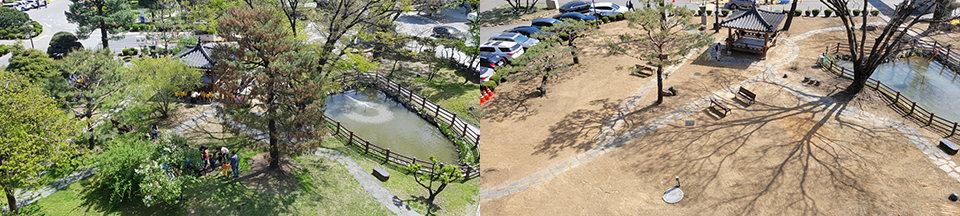 김영환 충북도지사의 지시로 충북도청에 조성된 잔디광장 공사 전후 모습.