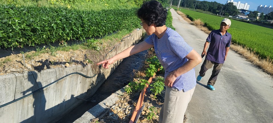 진천군 광혜원면 사동마을 주민이 S로 인해 이끼가 심하게 낀다고 주장하고 있다.