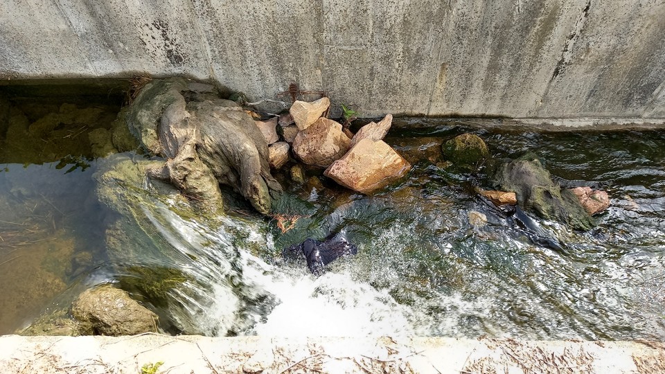 마을 주민 제공.
