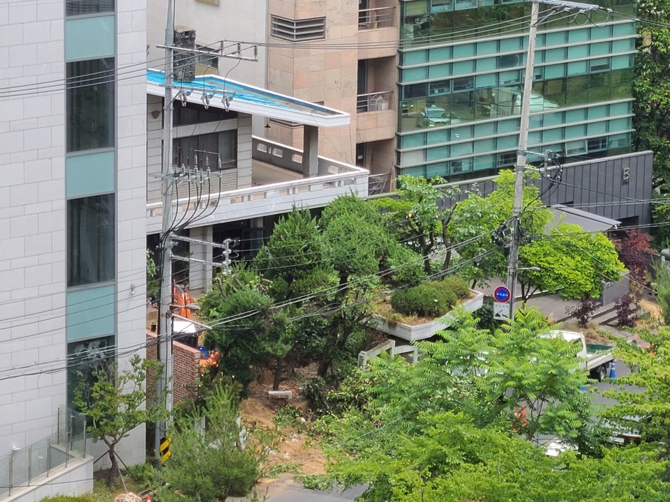 서울 강남구 청담동에 거주하는 시민 A씨는 2022년 6월 7일 자비 2000여만원을 들여 마당에 있던 조경수 48그루를 충북 영동군에 기증했다.  (사진=기증자 A씨 제공)