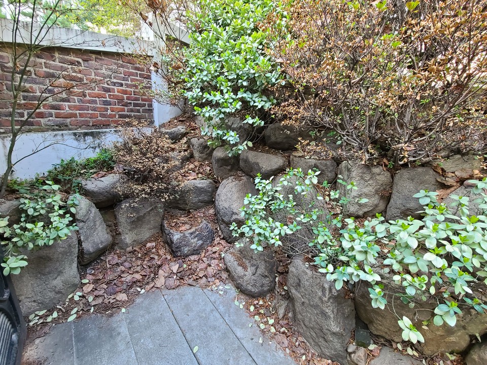 A씨 소유 서울 강남구 청담동 소재 자택에 조성됐던 조경석. A씨는 조경석 15톤을 영동군에 기증했지만 현재 행방이 묘연하다.