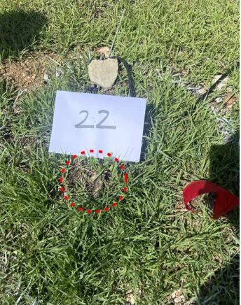 고가의 목단나무에 새순이 오르고 있다며 영동군이 제시한 사진