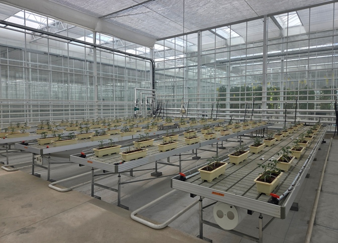  소형 DAC 설비 실증이 이뤄지고 있는 경상북도 상주 스마트팜혁신밸리 내에 위치한 에코프로에이치엔의 온실 모습.